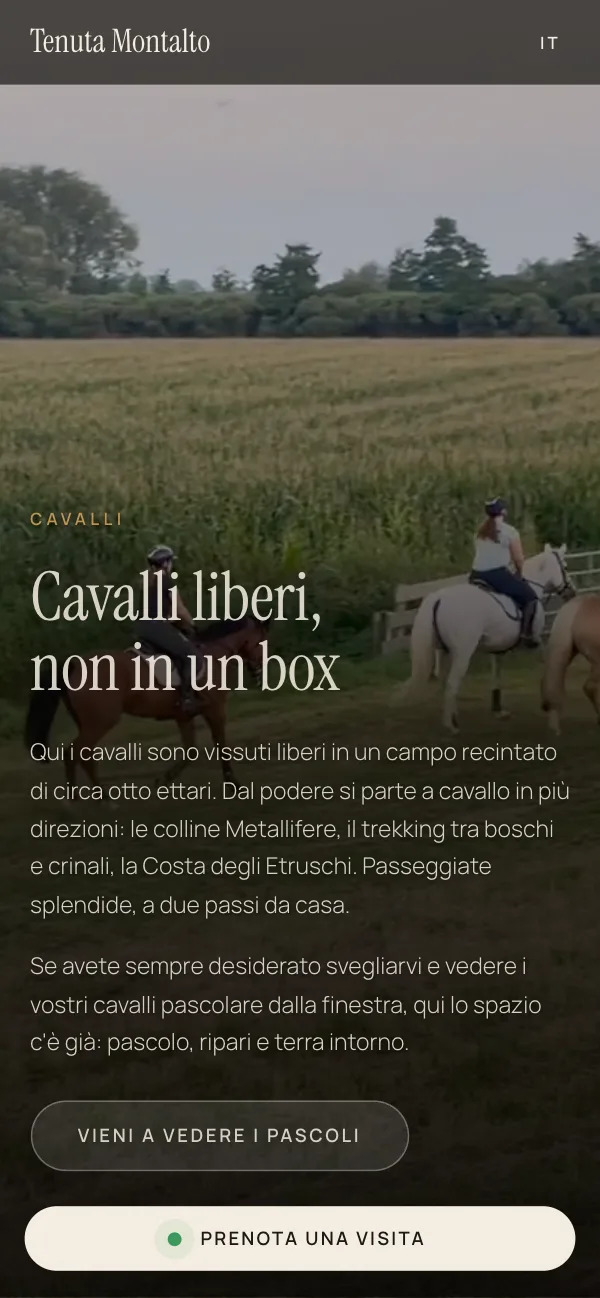 Sezione cavalli del sito Tenuta Montalto su telefono